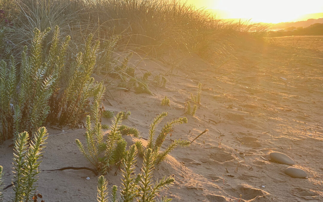 Jane – Surf Coast Shire Leadership and Team Building